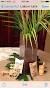 Havana Nights Cuban Party Decorations