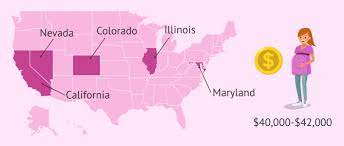Get a breakdown of the general costs, including the estimated agency for many families, gestational surrogacy represents a significant cost. Surrogacy Cost Breakdown Agency Gestational Carrier Fees