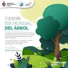 Los árboles, entre otros muchos beneficios, transforman el dióxido de carbono, responsable del efecto invernadero, en biomasa, minimizan los riesgos de inundación. 12 De Octubre Dia Mundial Del Arbol Colegio San Viator Tunja