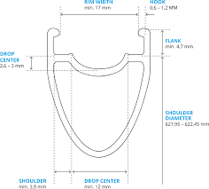 Tubeless Schwalbe Professional Bike Tires