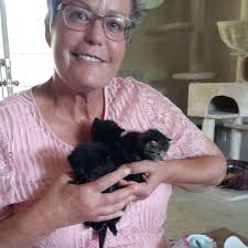 Furry Tales Cat Rescue seeks your help with isolation room costs