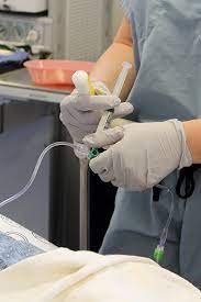 How To Become An Anesthesiologist In Florida » Department Of Anesthesiology  » College Of Medicine » University Of Florida