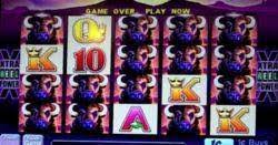 Aux manettes de fame le musical. Avis Salle Casino De Paris Avis Sur Follower Hollywood Go Nightclub