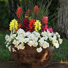 They are made with a marble pattern and come in various colors and designs to choose from. Planters The Home Depot