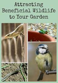 Attracting Beneficial Wildlife To Your Garden Habitat Garden Garden Animals Wildlife Gardening