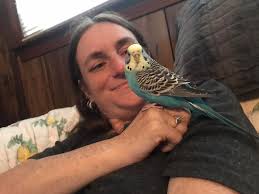 5 kardeşten en büyük 2 kardeş. Annesine çekmişler, mavi gri hepsi. Oysa  farklı renkler çıkar diye düşünmüştüm