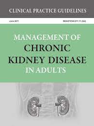 Progressive loss of renal function over time; Cpg Management Of Chronic Kidney Disease In Adults Renal Function Chronic Kidney Disease