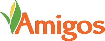 نتیجه جستجوی لغت [amigos] در گوگل