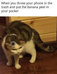 My Brain Is Confusion Memes