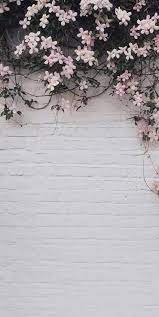25 Ideas Flowers Photography Wallpaper Phone Wallpapers Spring Pink Flowers Wallpaper Photography Wallpaper Flower Aesthetic