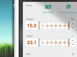 Fidotown Weight Height App Design App Interface Interactive Design