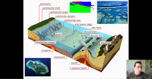 Ocean Basins Part 1 Features Of The Ocean Floor Continental Margin Landforms Lessons Classical Conversations Layers Of The Ocean