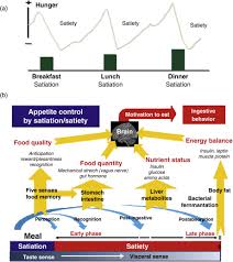 Image result for Taste Sensation