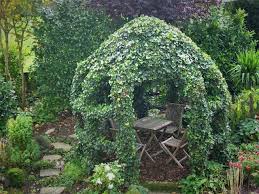 Unser Gartenpavillon Mit Efeu Garten Pavillon Garten Pavillon