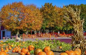 Your Guide to New Jersey Fall Festivals | VisitNJ.org