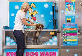 Check spelling or type a new query. Australia S Tru Blu K9000 Diy Dog Wash Station Establishes Us Headquarters Pet Age