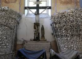 Image result for nemoci u%u0161  u ps%u016F