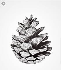 Pin By Dominique Julien On Tattoo Scandinavian Wall Art Minimalist Wall Art Pine Cone Art