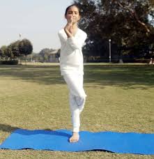 Garudasana Yoga Eagle Pose Steps Benefits And Precautions