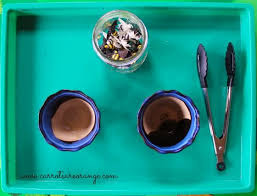 Honey Bee Montessori Work Montessori Preschool Units Themes Montessori Materials