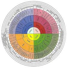 Terpenes Breakdown Flovorwheel The Mcaa