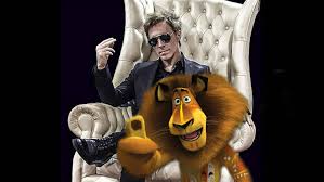 Cabito vvs sqll is on facebook. Cae Encarnara A Alex El Leon De Madagascar Notife