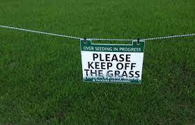 Check spelling or type a new query. How February Overseeding Can Keep You From Losing Hair