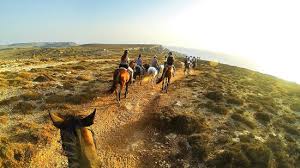 Options for the horse enthusiasts who want to further their knowledge of horses and spend some time in the saddle are. Sunset Horse Ride Review Of Golden Bay Horse Riding Island Of Malta Malta Tripadvisor
