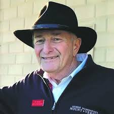 William Romano Obituary (2024)