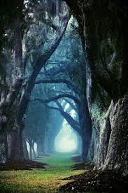 Pemandangan alam indonesia hd is a 1024x630 hd wallpaper picture for your desktop, tablet or smartphone. Wallpaper Pemandangan Alam Hd Apk 3 0 Download Free Books Reference Apk Download