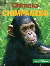 Chimaka the Chimpanzee (True To Life Books Book 12) 1st eBook, Latta, Jan