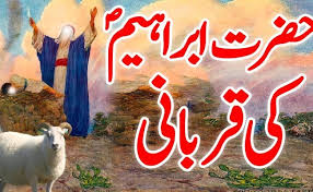 You have to choose on the basis of age and weight of the alive camel. Qurbani Ki Eid Haaffun Cute766