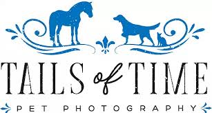 Currently i'm working with fashion, food and accessories. Brisbane Pet Photography Tails Of Time Pet Photography Queensland