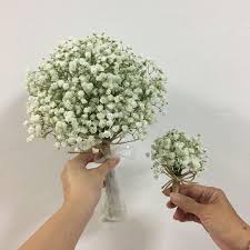 The baby's breath flower is known for its healing properties, so it is usually used for the production of medications that can treat leukemia. Baby Breath Hand Bouquet Off 77 Buy