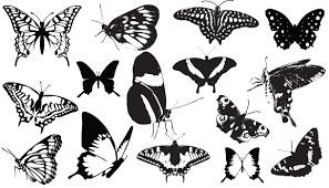 15 Butterfly Silhouette Vector Download Png Jpeg Eps Silhouette Vector Silhouette Clip Art Butterflies Vector