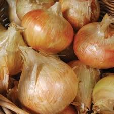 This fine large onion has gained a big following in the past several years. Onion Ailsa Craig Siskiyou Seeds