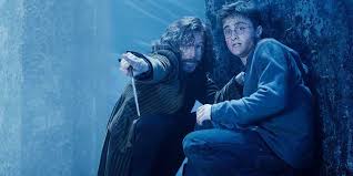 I shouldn't have told you that. i shouldn't have told you that. community contributor this post was created by a member of the buzzfeed community.you can join and make your own posts and quizzes. All The Harry Potter Trivia You Need For Your Next Party Hypable