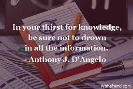 Anthony J D Angelo Quote In Your Thirst For Knowledge Be Sure Not To Drown In All The Information