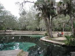 Pine springs campground is open all year round. Juniper Springs Rec Area National Forests In Florida Recreation Gov