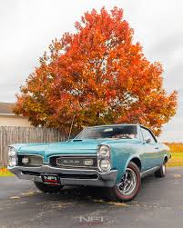 Image result for Plum Mist 1967 GTO