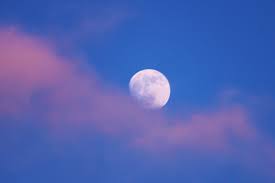 Image result for tbn:0PJB32OL7JwfOM::farm4.static.flickr.com/3324/3329876139_f2d551139f.jpg