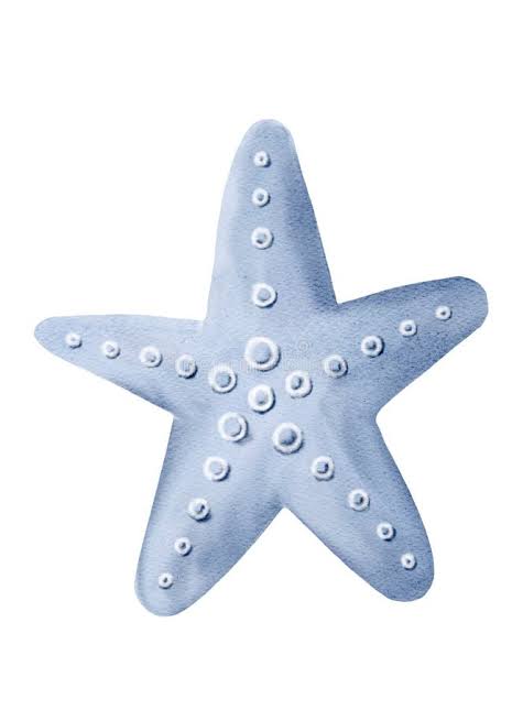 Elegant Baby Blue Starfish Captured in Gentle Watercolor Strokes on a  Serene Marine Canvas Stock Illustration - Illustration of marine, decor:  357840229