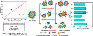 Correlation Between Oxidation Reduction Potential Values And