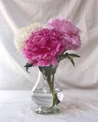 Sunday Still Life Our Pichet Carafe Used A Vase With A Dahlia Peonies That Are Pretty In Pink Lasoufflerie Lasoufflerie Vase Pretty In Pink Still Life