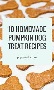 If you want a snack that will be safe, here is the recipe for cookies with almost no fat or protein. 10 Homemade Dog Treat Recipes Made With Pumpkin Puppy Leaks