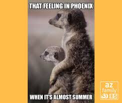 Weather Memes Chronicle The Essence Of Living In Arizona Photo Galleries Azfamily Com