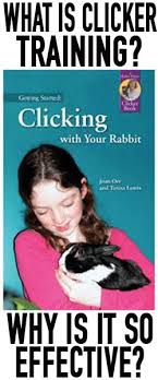 Rabbit insurance ensures that you as a good pet owner don't have to spend much for your rabbit whenever you want to take them for a routine checkup or any need that seems to arise, maybe due to an emergency or something else that requires veterinary attention. Clicker Training Your Rabbit What Is Clicker Training Why Is It So Effective Small Pet Select Blogs Small Pet Select Dog Clicker Training Small Pets Cheap Pet Insurance