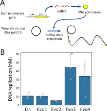 نتیجه جستجوی لغت [replication] در گوگل