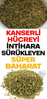 Kendisi Cayi Suyu Ayri Ayri Sifa O Bitki Sadece Aroma Ve Lezzet Katan Bir Baharat Degil Kanser Hucrelerini Intih Goruntuler Ile Saglik Urunleri Dogal Saglik Saglikli Olmak