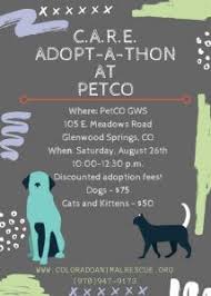 Are there any adoption events for homeless pets? Petco Adopt A Thon Colorado Animal Rescue